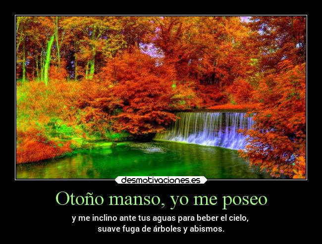 Otoño manso, yo me poseo - y me inclino ante tus aguas para beber el cielo, 
suave fuga de árboles y abismos.