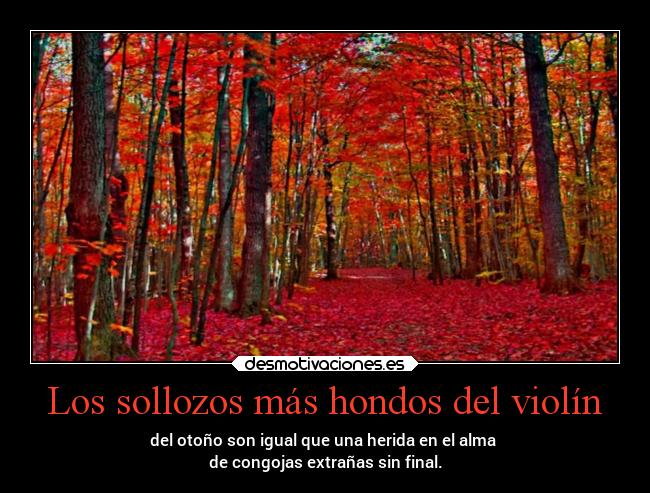Los sollozos más hondos del violín - del otoño son igual que una herida en el alma 
de congojas extrañas sin final.