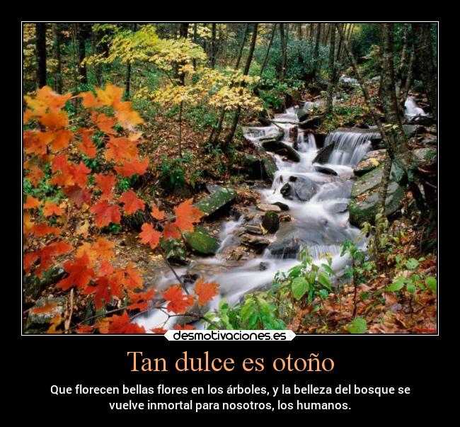Tan dulce es otoño - Que florecen bellas flores en los árboles, y la belleza del bosque se
vuelve inmortal para nosotros, los humanos.