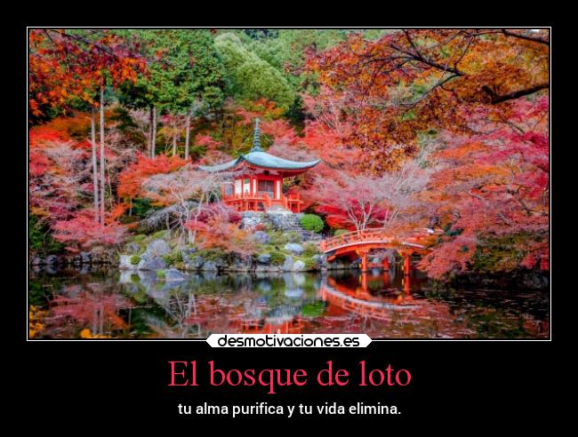 El bosque de loto - tu alma purifica y tu vida elimina.