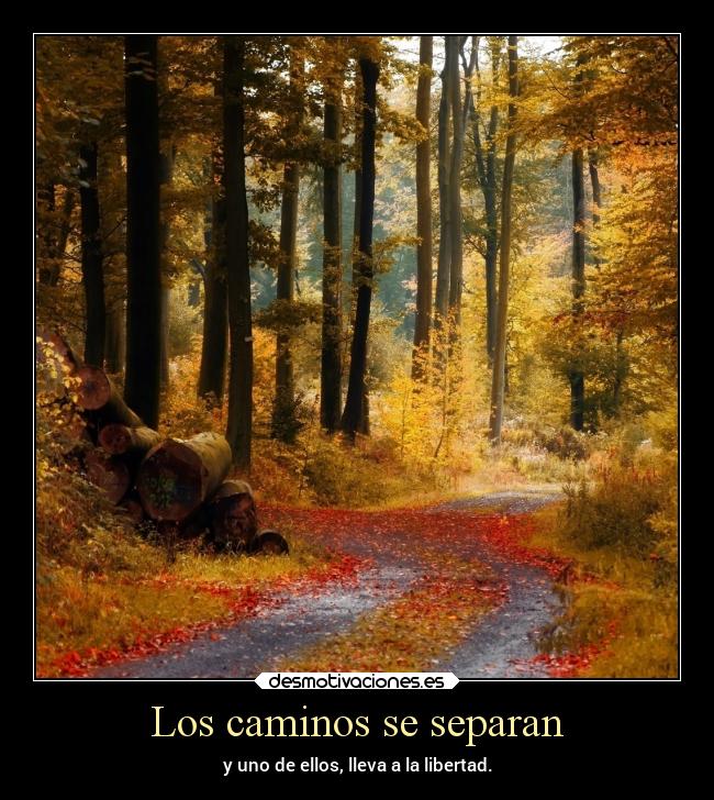 Los caminos se separan - y uno de ellos, lleva a la libertad.