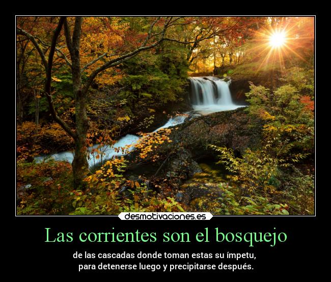 carteles desmotivaciones frases elisee reclus otono sol chopper lossupervivientes claro desmotivaciones