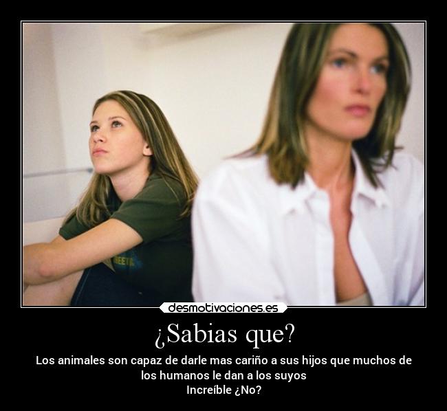 ¿Sabias que? - Los animales son capaz de darle mas cariño a sus hijos que muchos de
los humanos le dan a los suyos
Increíble ¿No?