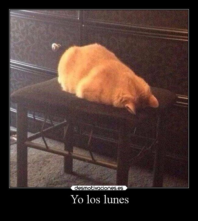 Yo los lunes - 