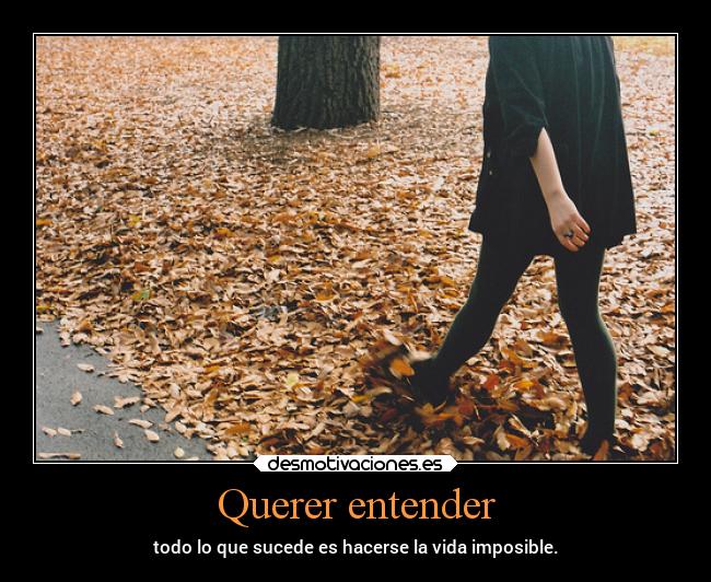 Querer entender - todo lo que sucede es hacerse la vida imposible.