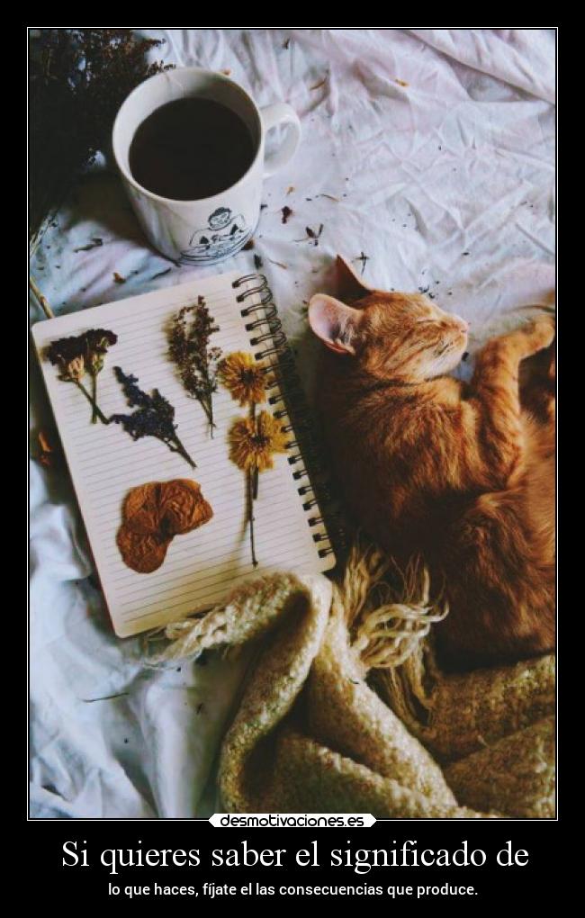 Si quieres saber el significado de - 