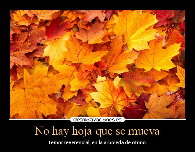 No hay hoja que se mueva - Temor reverencial, en la arboleda de otoño.