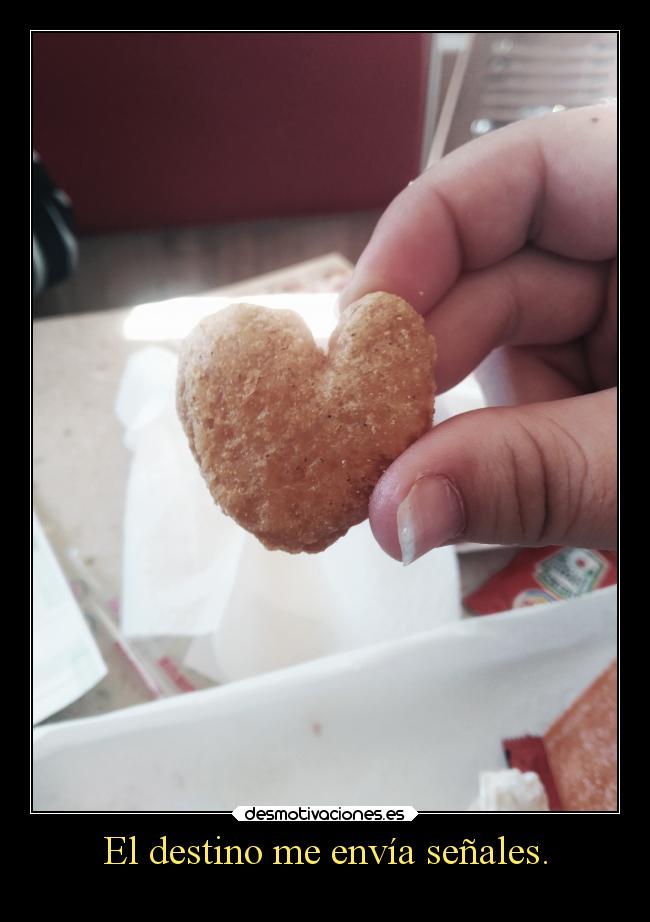 El destino me envía señales. - 