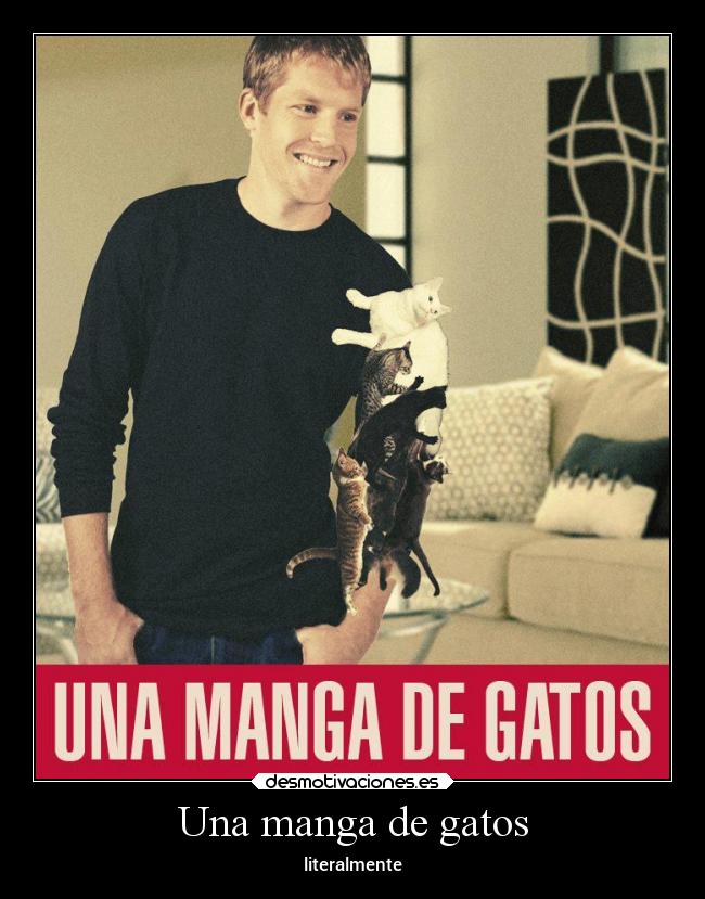 Una manga de gatos -