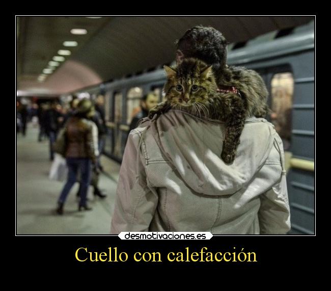 Cuello con calefacción - 