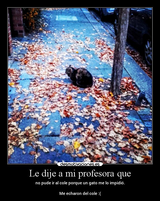 Le dije a mi profesora que - no pude ir al cole porque un gato me lo impidió.
Me echaron del cole :(