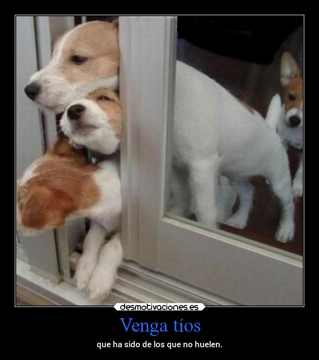 Venga tíos -