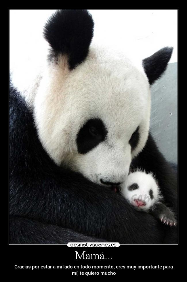 Mamá... - Gracias por estar a mi lado en todo momento, eres muy importante para
mí, te quiero mucho