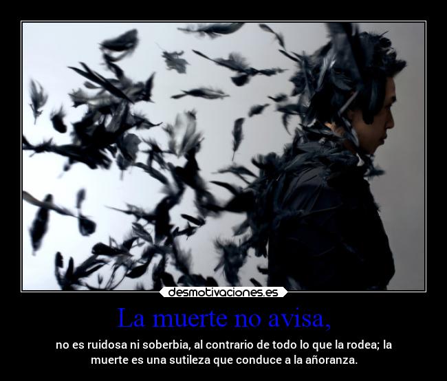 La muerte no avisa, - no es ruidosa ni soberbia, al contrario de todo lo que la rodea; la
muerte es una sutileza que conduce a la añoranza.