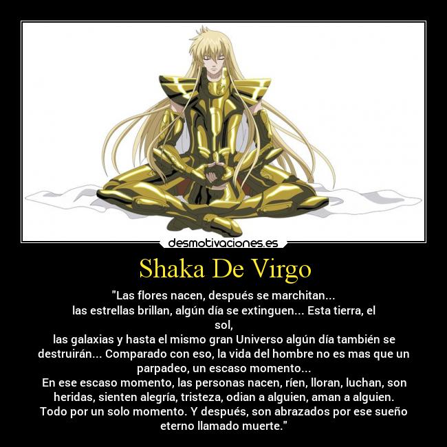 Shaka De Virgo - Las flores nacen, después se marchitan...
las estrellas brillan, algún día se extinguen... Esta tierra, el
sol,
las galaxias y hasta el mismo gran Universo algún día también se
destruirán... Comparado con eso, la vida del hombre no es mas que un
parpadeo, un escaso momento...
En ese escaso momento, las personas nacen, ríen, lloran, luchan, son
heridas, sienten alegría, tristeza, odian a alguien, aman a alguien.
Todo por un solo momento. Y después, son abrazados por ese sueño
eterno llamado muerte.