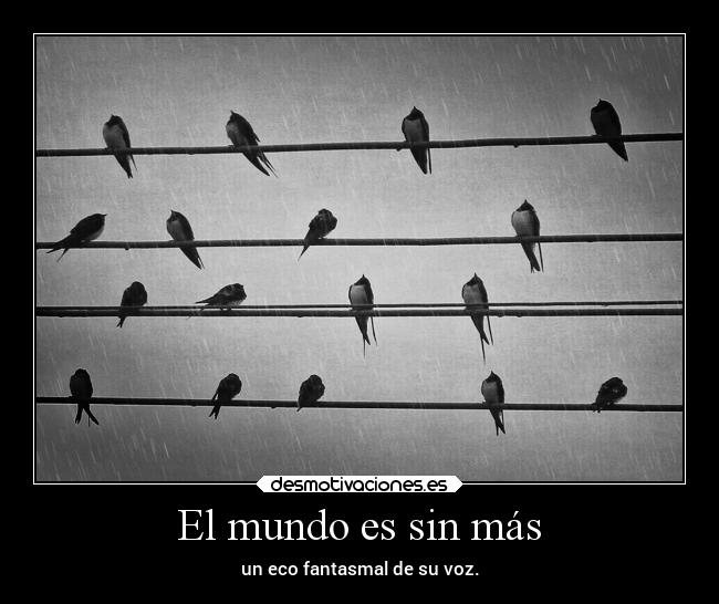El mundo es sin más -