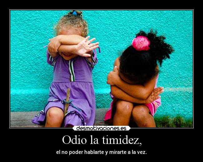 Odio la timidez, - el no poder hablarte y mirarte a la vez.