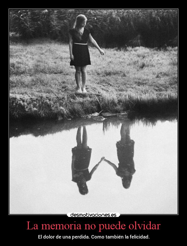 La memoria no puede olvidar - 