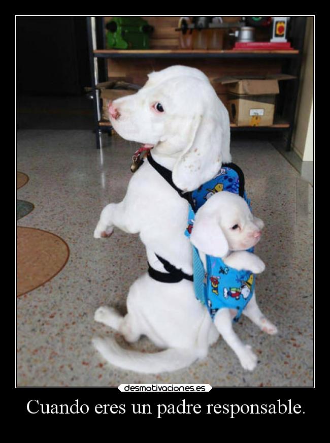 carteles padre vida desmotivaciones