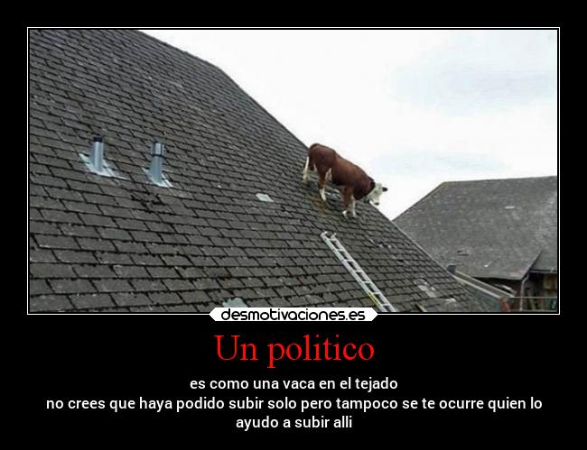 Un politico - es como una vaca en el tejado
no crees que haya podido subir solo pero tampoco se te ocurre quien lo
ayudo a subir alli