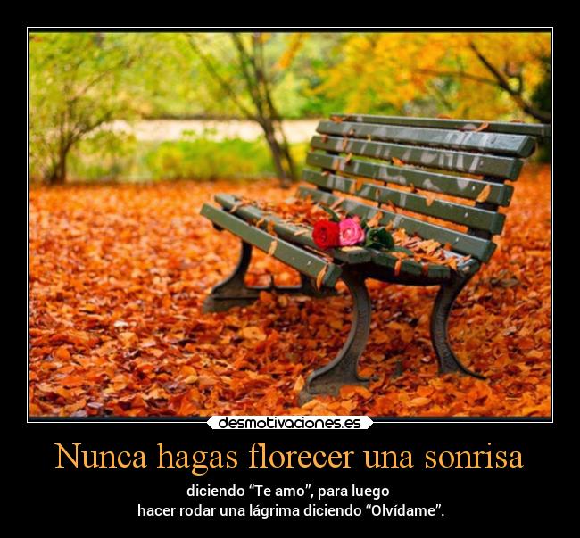 Nunca hagas florecer una sonrisa - diciendo “Te amo”, para luego 
hacer rodar una lágrima diciendo “Olvídame”.