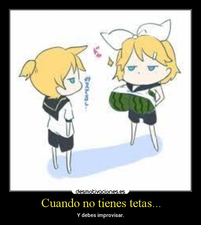 Cuando no tienes tetas... - Y debes improvisar.