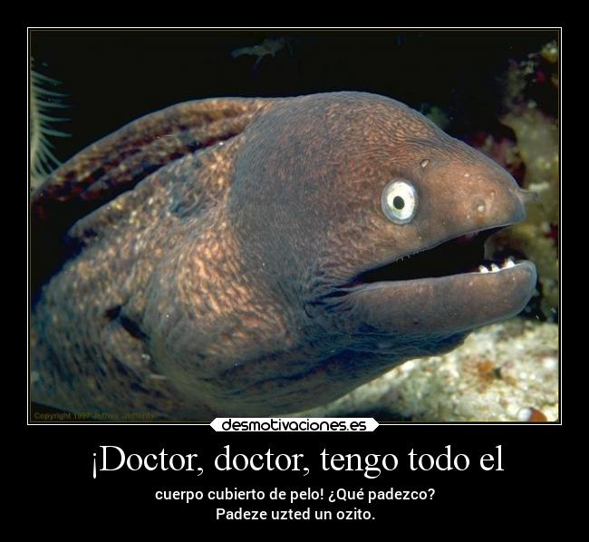 ¡Doctor, doctor, tengo todo el - cuerpo cubierto de pelo! ¿Qué padezco?
Padeze uzted un ozito.