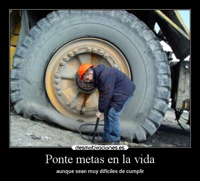 carteles vida confianza desmotivaciones