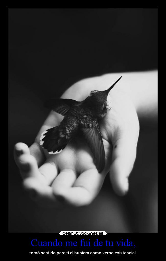 Cuando me fui de tu vida, - 