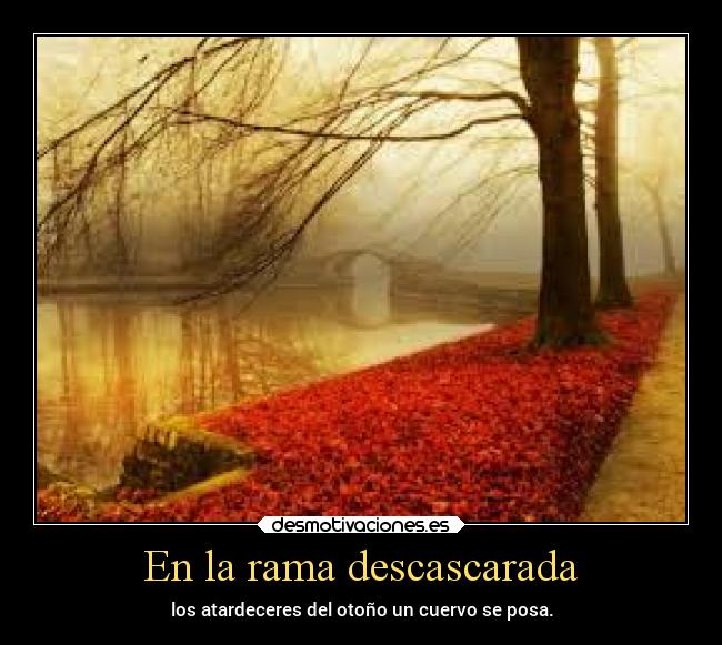 En la rama descascarada - los atardeceres del otoño un cuervo se posa.