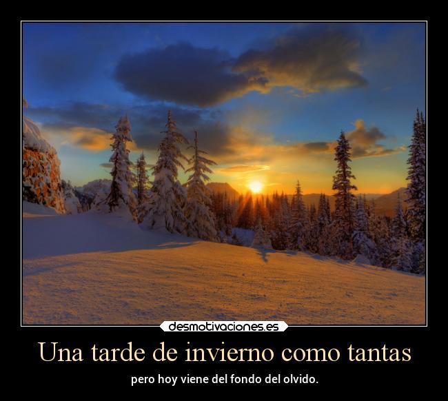 carteles vida desmotivaciones navidad apuesta invierno blanco casi chopper yandexcrip desmotivaciones