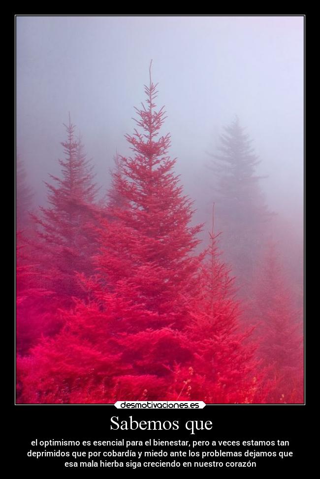 carteles vida felicidad desmo caminoalafelicidad desmotivaciones