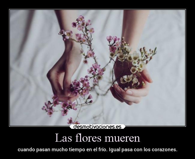 Las flores mueren - 