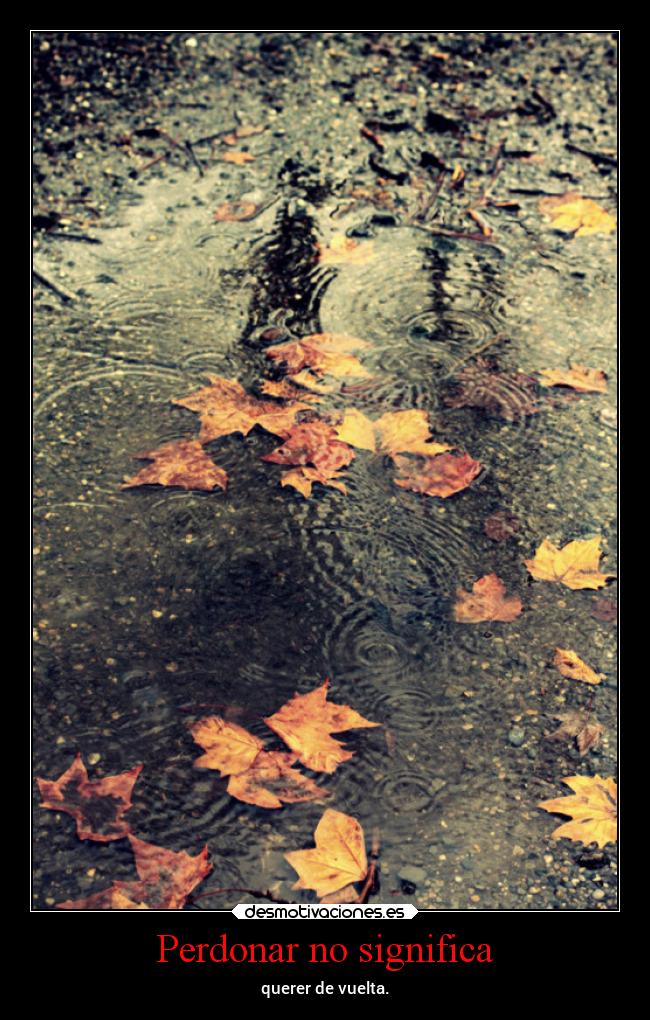 Perdonar no significa - querer de vuelta.