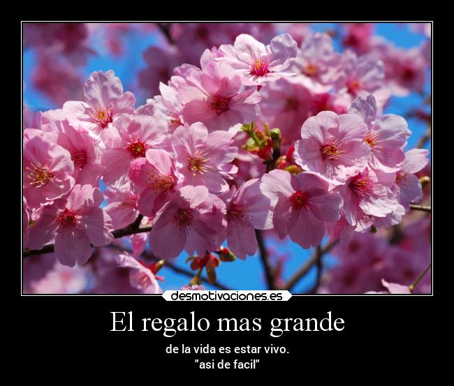 El regalo mas grande - de la vida es estar vivo.
asi de facil