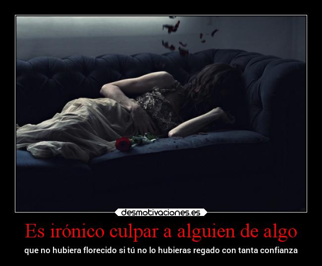 Es irónico culpar a alguien de algo - 