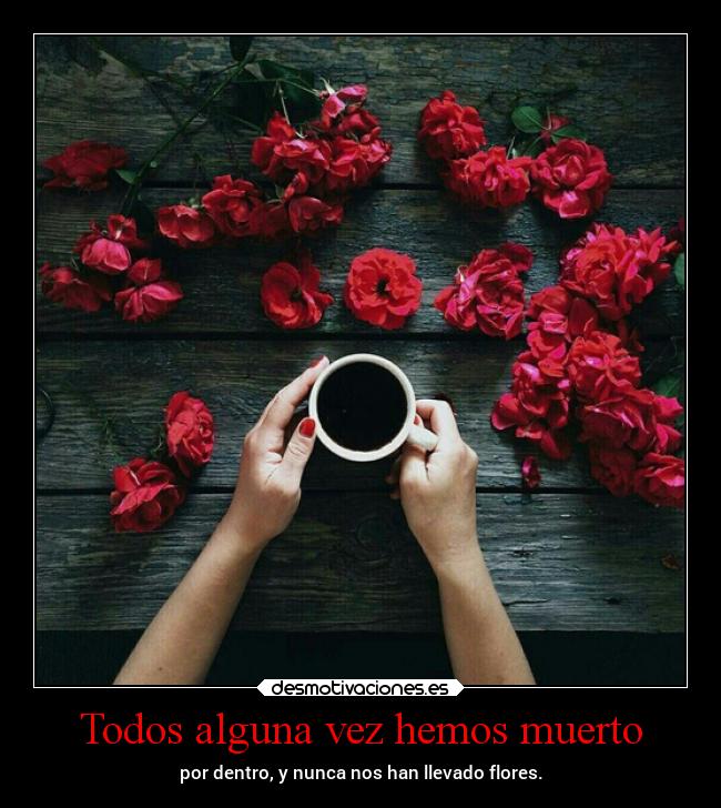 Todos alguna vez hemos muerto - 