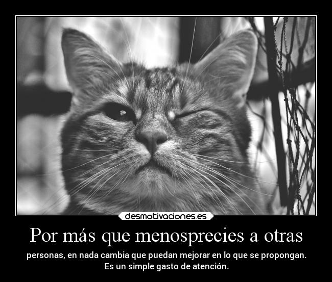 Por más que menosprecies a otras - 