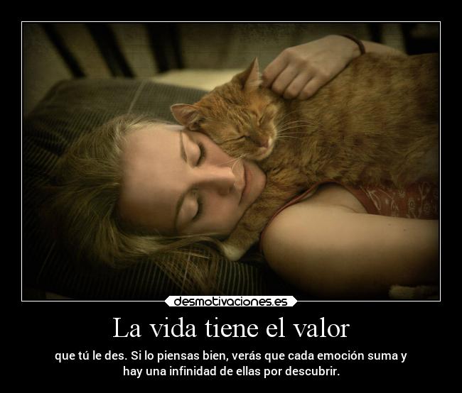 carteles vida motivaciones amigos animales hook desmotivaciones