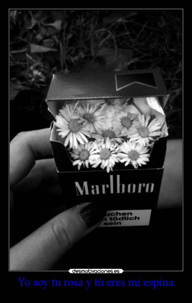 Yo soy tu rosa y tú eres mi espina. -
