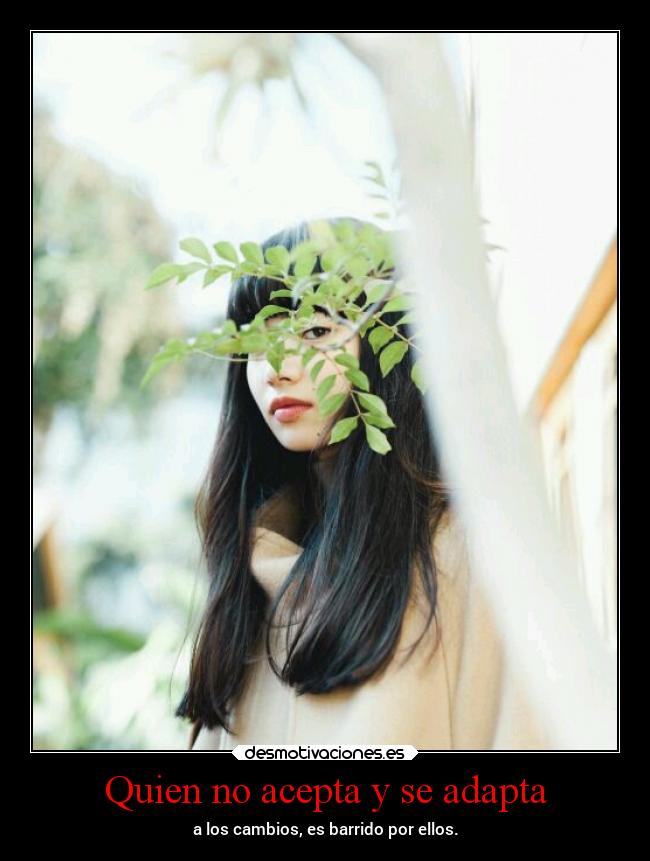 carteles vida pensamientos cambios projectd desmotivaciones