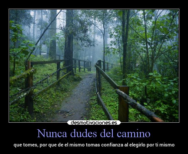 Nunca dudes del camino - que tomes, por que de el mismo tomas confianza al elegirlo por ti mismo