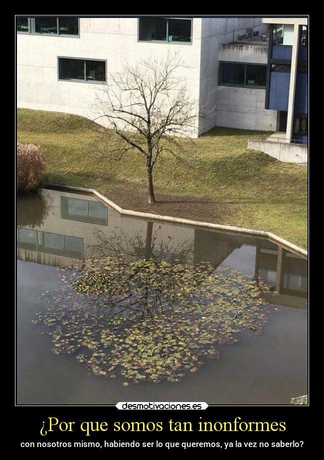 ¿Por que somos tan inonformes - con nosotros mismo, habiendo ser lo que queremos, ya la vez no saberlo?