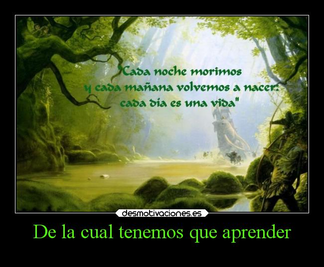 De la cual tenemos que aprender - 
