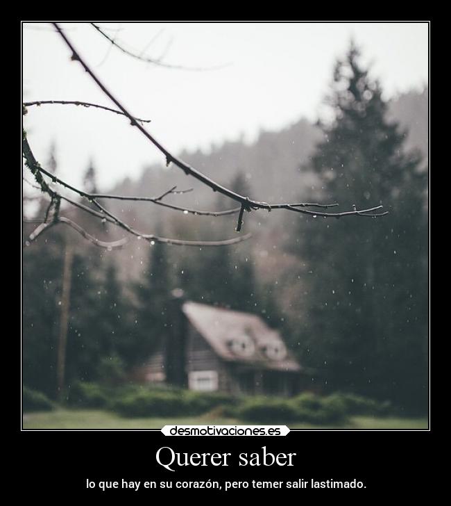 Querer saber -