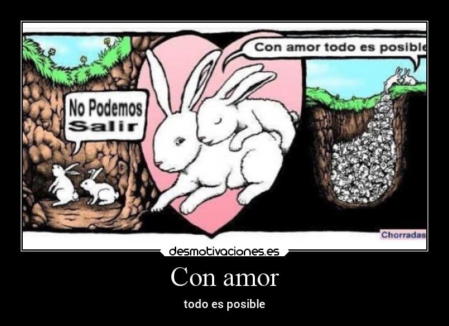 Con amor - 