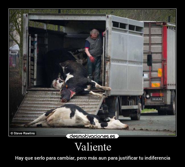 Valiente - Hay que serlo para cambiar, pero más aun para justificar tu indiferencia
