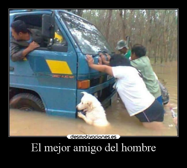 El mejor amigo del hombre -