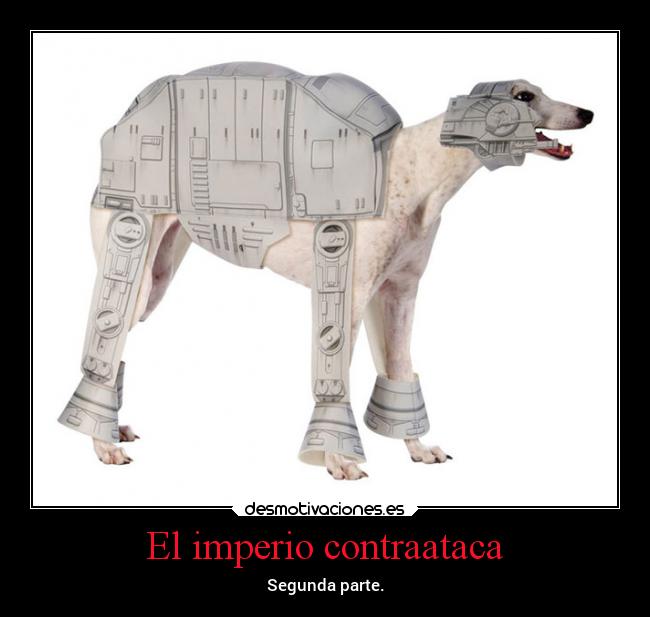 carteles animales wars perro disfraz desmotivaciones