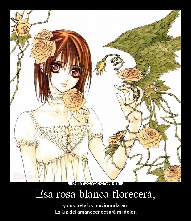 Esa rosa blanca florecerá, - 